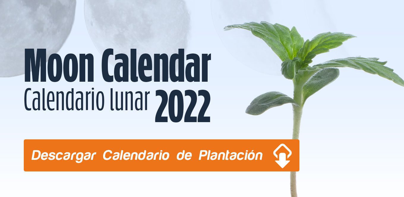 calendario-cultivo-marihuana-2022-image-10274