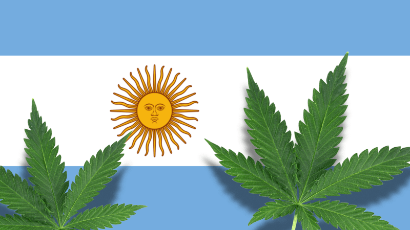 argentina-lanza-ley-cannabis-medicinal