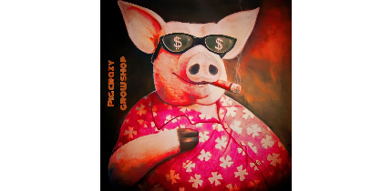 pig-crazy-growshop