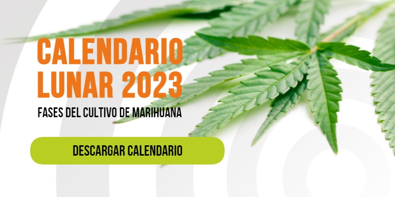 https://latam.kannabia.com/blog/calendario-lunar-cultivo-marihuana-2023