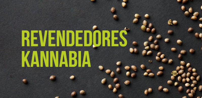 revendedores-kannabia