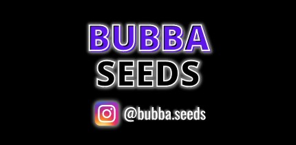 bubba-seeds